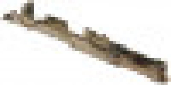 901190121 901190121