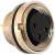 PXPPAM12RAF08ASTPG9, Circular Connector, M12, Socket, Right Angle, Poles - 8, Screw Terminal, Inline Flex Mount PXPPAM12RAF08ASTPG9, Circular Connector, M12, Socket, Right Angle, Poles - 8, Screw Terminal, Inline Flex Mount
