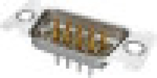 DC37P364TXLF, D 37 Way Through Hole D-sub Connector Plug, 2.76mm Pitch