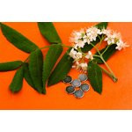 Неодимовый магнит диск 5х1 мм, N45