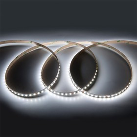 General Лента Светодиодная 5 метров 9,6Вт 24В SMD2835 8мм 600 диодов 22 Лм/чип IP20 6500К Холодный белый свет 502140 GLS-2835-120-9.6-24-IP2