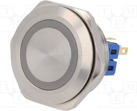 V30-11E-24R-S, Переключатель: антивандальный, Пол: 2, SPDT, 3A/220ВAC, 5A/24ВDC