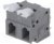 DG242V-7.5-02P-11-00A(H), Зажимная рейка для печатных плат, прямой, 7,5мм, Кол-во полюс: 2 DG242V-7.5-02P-11-00A(H), Зажимная рейка для печатных плат, прямой, 7,5мм, Кол-во полюс: 2