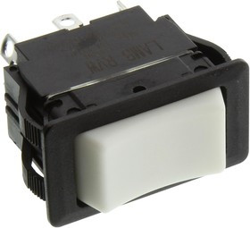 RVW56D1200, ROCKER SWITCH, DPDT, 20A, 125VAC, PANEL
