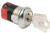 Y101132C203NQ, Keylock Switches SPST 2 POS 90 DEG