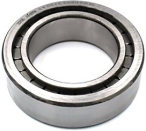 SL183006-A-XL 30mm I.D Cylindrical Roller Bearing, 55mm O.D