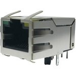 J1011F21PNL J1011F21PNL