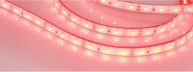 Светодиодная герметичная лента RTW-PFS-A60-11mm 12V Red 5 м 036055