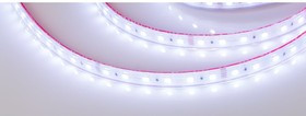 Светодиодная лента герметичная RTW-PS-B60-12mm 24V RGB 14.4 Вт/м 5 м 021400(2)