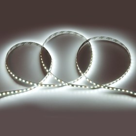 General Лента Светодиодная 5 метров 9,6Вт 12В SMD2835 8мм 600 диодов 7 Лм/чип IP20 6500К Холодный белый свет 501420 GLS-2835-120-9.6-12-IP20