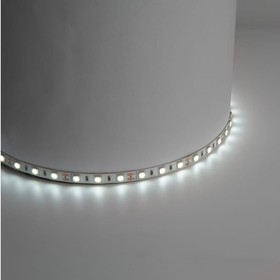 Cветодиодная LED лентаLS606, 60SMD(5050)/м 14.4Вт/м 5м IP20 12V 6500К 27644