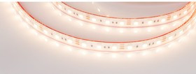 Светодиодная лента герметичная RTW-PS-B60-12mm 12V Warm3000 14.4 Вт/м 5 м 022325(2)