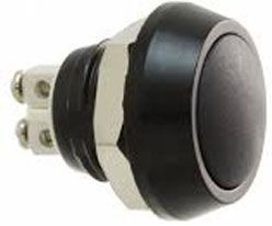 MMP0120/ABKP, Переключатель: антивандальный; Пол: 2; SPST-NO; 2A/36ВDC; OFF-(ON)