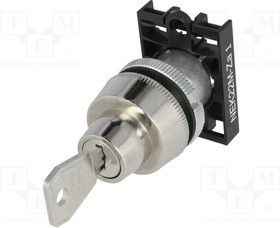 NEK22M-ZA1, Переключатель: поворотный с ключом, Фикс.пол: 2, 22мм, серый, IP40