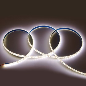 General Лента Светодиодная 5 метров 9,6Вт 12В SMD2835 8мм 600 диодов 7 Лм/чип IP65 4500К Нейтральный белый свет 501310 GLS-2835-120-9.6-12-I