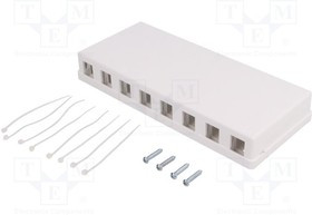 LOG-NK4035, Гнездо, корпус RJ45, Keystone, не экранированный, Цвет: белый