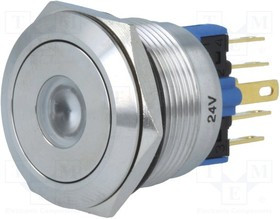 V22-11D-24G-S, Переключатель: антивандальный, Пол: 2, SPST-NO + SPST-NC, IP65