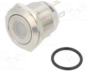 GQ19F-10DJG24VS, Переключатель: антивандальный, Пол: 2, SPST-NO, 0,5A/220ВAC, IP65