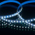 SLS 01 WW IP 20 / Набор светодиодной ленты 5m 2835 12V 120Led 9.6W IP20 6500K холодный белый SLS 01 WW IP 20 / Набор светодиодной ленты 5m 2835 12V 120Led 9.6W IP20 6500K холодный белый