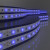 5050 24V 60Led 14,4W IP20 / Лента светодиодная 60Led 14,4W IP20 синий