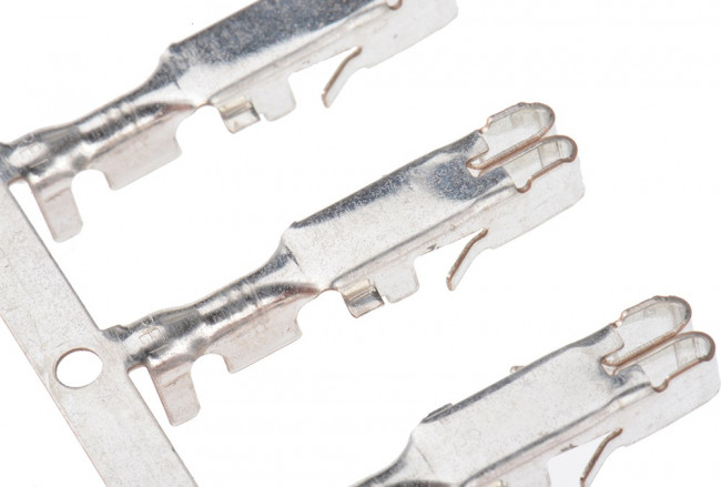 12147656, 4.1 Female 12147656, 4.1 Female