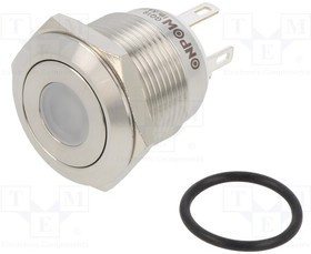 GQ19F-10DJG12VS, Переключатель: антивандальный; Пол: 2; SPST-NO; 0,5A/220ВAC; IP65