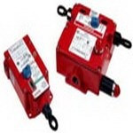 CPSZ1S, Switch Access Draw Bar Endspring Safety Switch