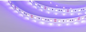 Светодиодная лента RT-B60-10mm 12V UV400 5 м 012815(2)