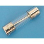 FS-52GT-3.15/250, Предохранитель 5х20мм, стеклянный, с задержкой, 3.15А/250В (GSL)