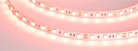 Светодиодная лента RT-B60-10mm 12V Red 5 м 012343(2)