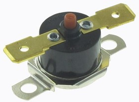 2455RM-71000776, Термостат