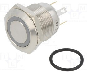 GQ19F-10EJB24VS, Переключатель: антивандальный; Пол: 2; SPST-NO; 0,5A/220ВAC; IP65