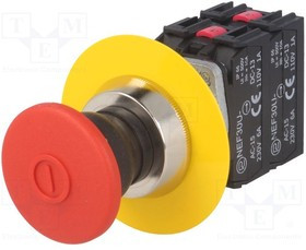 NEF30-UDR2X2YC, Переключатель: безопасности, Фикс.пол: 2, NC x2 + NO x2, 30мм