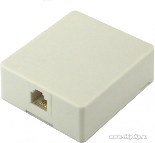 TJC6P4C-G, Розетка телефонная, 1 порт RJ-11, серая