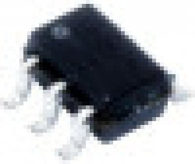 SN74LVC1G06DCKRE4, Buffers & Line Drivers Single Invert w/OD SN74LVC1G06DCKRE4, Buffers & Line Drivers Single Invert w/OD