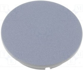G4312.0041, Заглушка, пластмасса, серый, распорным стержнем