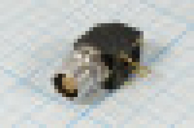 Гнездо LEMO, 3P+4P, на плату/панель гайка, угловой, d7, EXG-0B-303CCL; 13312 гн LEMO\3P+4P\плат/пан гай\угл\d7\EXG-0B-303CCL\ Гнездо LEMO, 3P+4P, на плату/панель гайка, угловой, d7, EXG-0B-303CCL; 13312 гн LEMO\3P+4P\плат/пан гай\угл\d7\EXG-0B-303CCL\