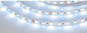 Светодиодная лента RT-B60-10mm 24V RGBW-White 5 м 018325(2)