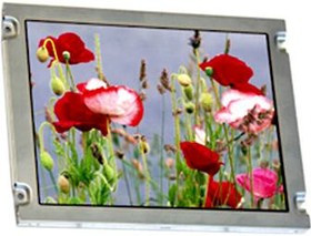 T-55619GD065J-LW-ABN T-55619GD065J-LW-ABN