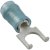 320863, Spade Tongue Terminal 14-16AWG Copper Blue 19.5mm Tin Box