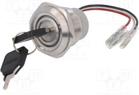 V30-KEY-23-24RG-S, Переключатель: замок для РЭА, Фикс.пол: 1, Алгоритм раб: ON-(ON)