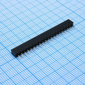 DS1026-01-1x20S8BV, гнездо на плату 1ряд шаг2,0мм / PBS2-20 (DS1026-01-1x20S8BV)