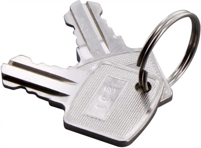 HW9Z-SKP, Switch Hardware Replacement Key (Set of 2)