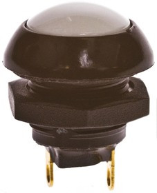 P9-113129W, Pushbutton Switches 5A Wht Flush Dome 2 Circ Solder IP69K