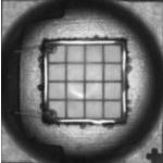 NUVA33T385TRF, LED Uni-Color Ultraviolet 390nm 2-Pin T/R