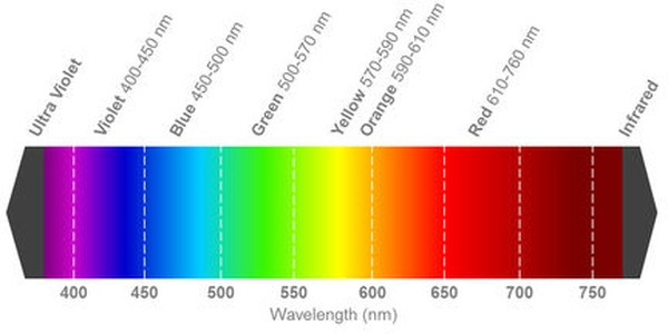 C503B-BCS-CV0Z0461, Standard LEDs - Through Hole Blue Round LED C503B-BCS-CV0Z0461, Standard LEDs - Through Hole Blue Round LED