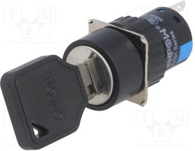 V16-KEY-AY-2, Переключатель: замок для РЭА, Фикс.пол: 2, Алгоритм раб: ON-ON