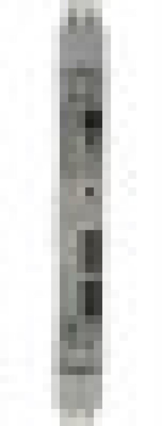 2811446